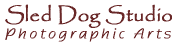 to Sled Dog Studio home