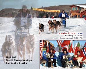 photo of 6 dog medalists