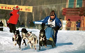 Rex Jones 4-dog off the start
