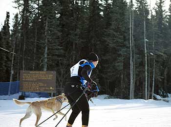 Skijor relay photo
