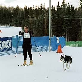 Kris Rasey photo