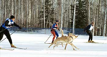 Skijor relay photo