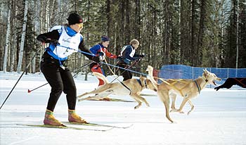 Skijor relay photo