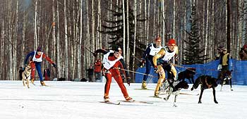 Skijor relay photo