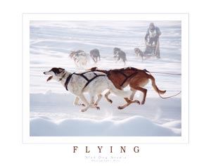Flying