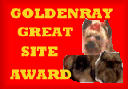 [Goldenray Yorkies Award]