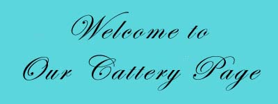 Jpeg image of Cattery banner