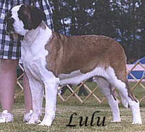 JPEG image of Lulu