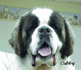 JPEG image of Cubby