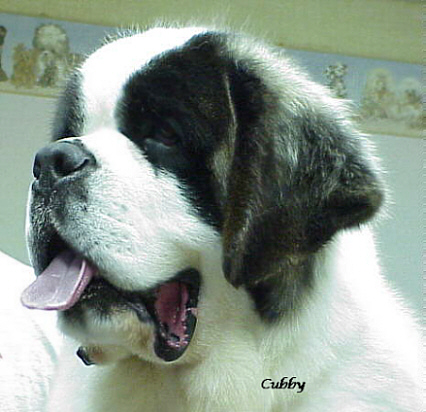 JPEG image of Cubby