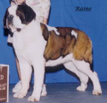 JPEG image of Raine