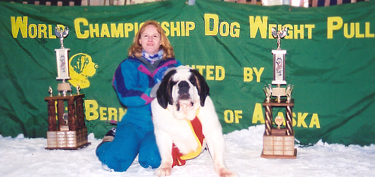 Sirviver and Jeannie at the Weight Pull Contest