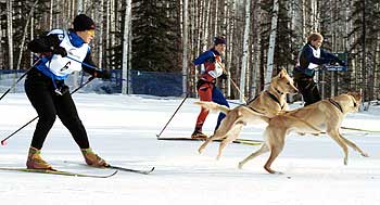 Skijor relay photo