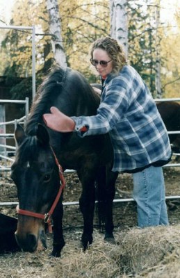 Krys eating hay